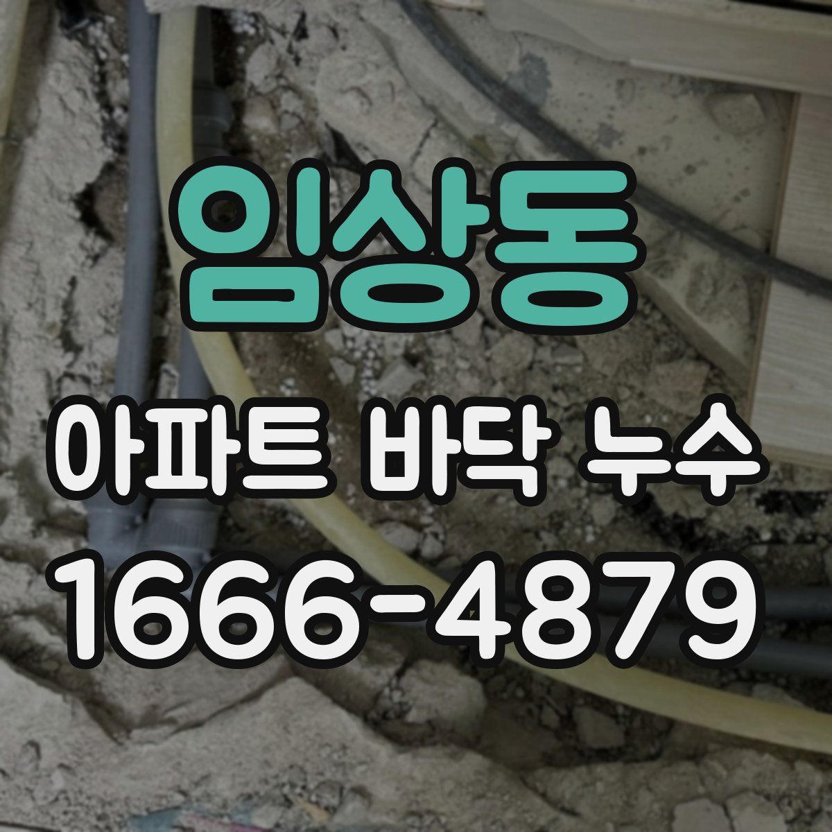 임상동 아파트 바닥 누수