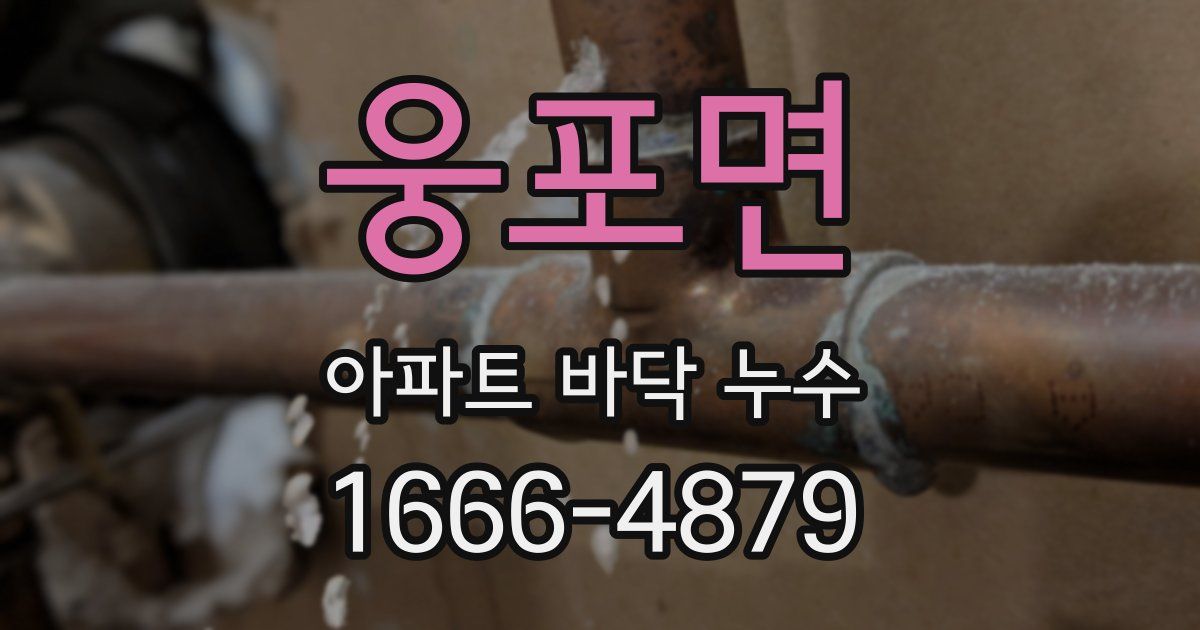 웅포면 아파트 바닥 누수