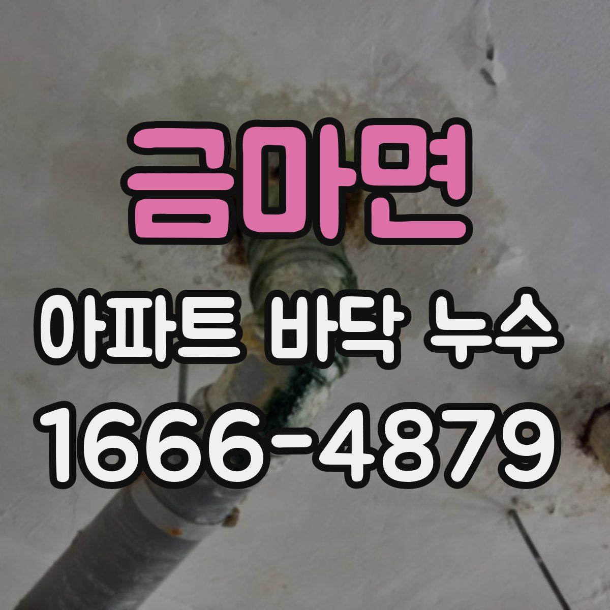 금마면 아파트 바닥 누수
