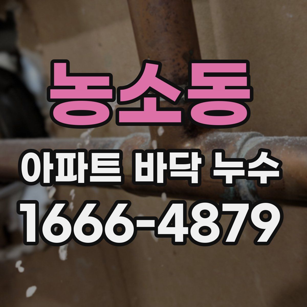 농소동 아파트 바닥 누수