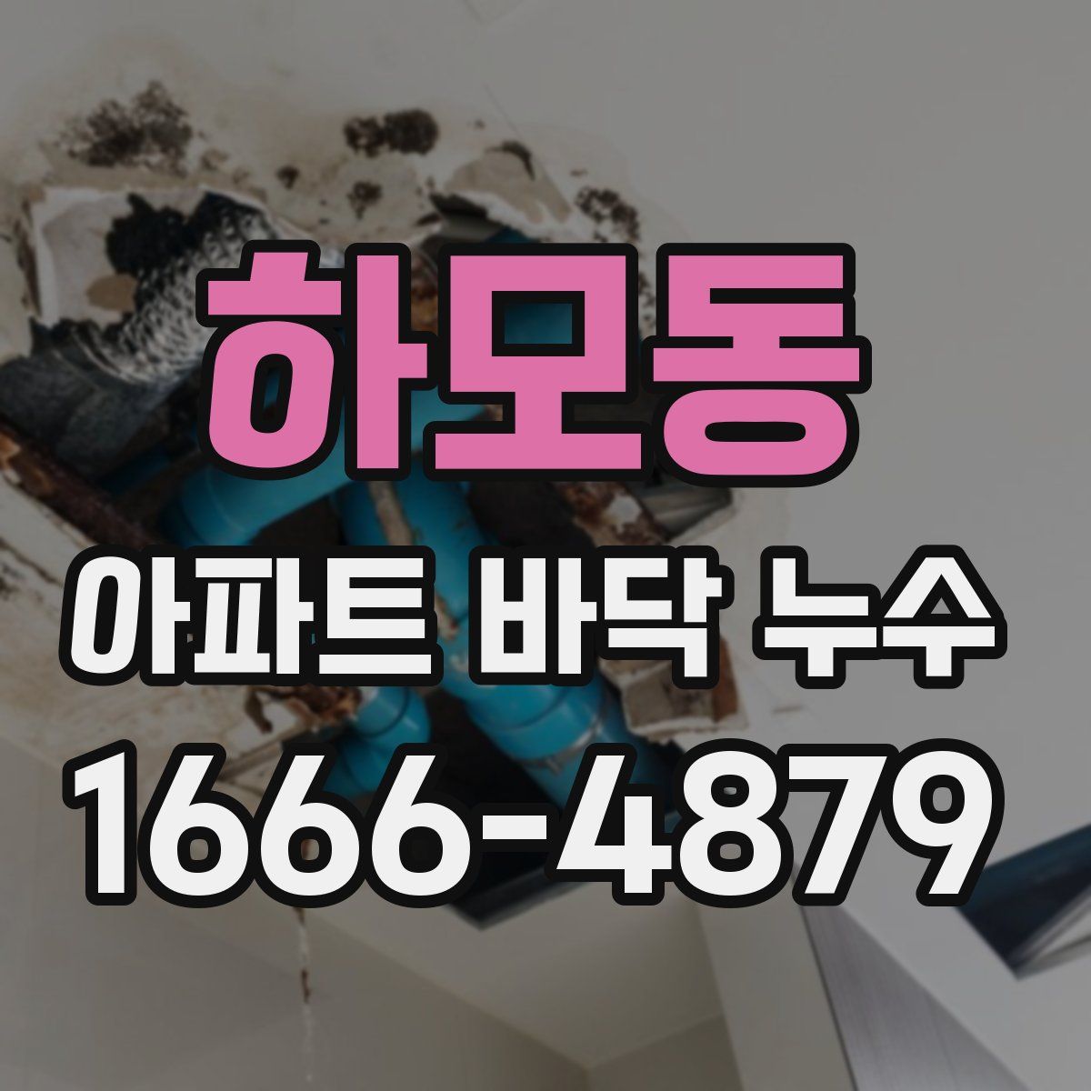 하모동 아파트 바닥 누수