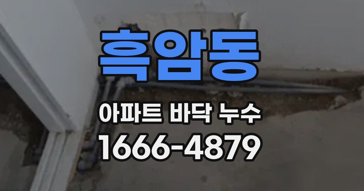 흑암동 아파트 바닥 누수