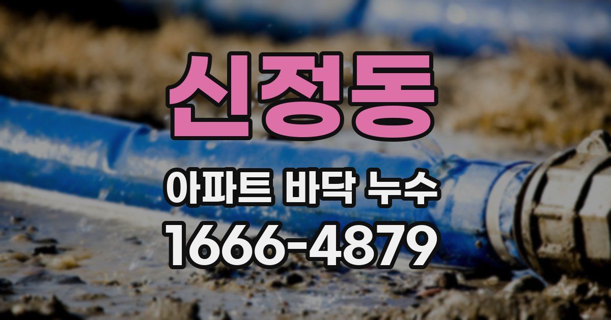 신정동 아파트 바닥 누수