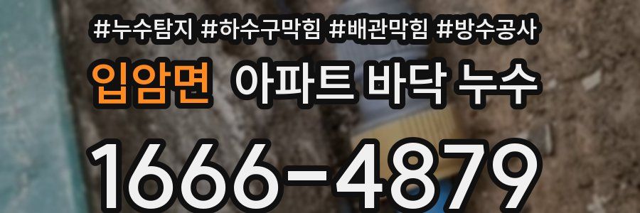 입암면 아파트 바닥 누수