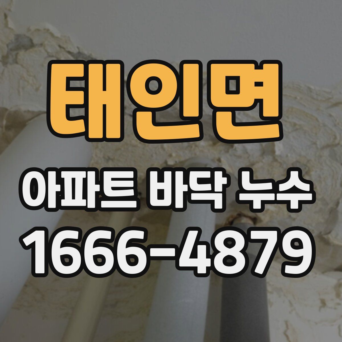 태인면 아파트 바닥 누수