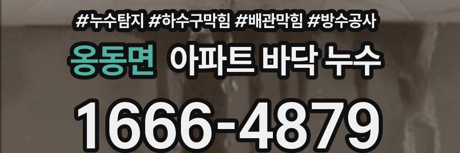 옹동면 아파트 바닥 누수