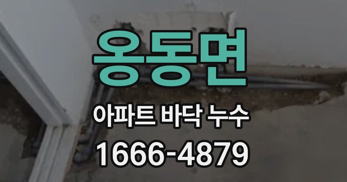 옹동면 아파트 바닥 누수