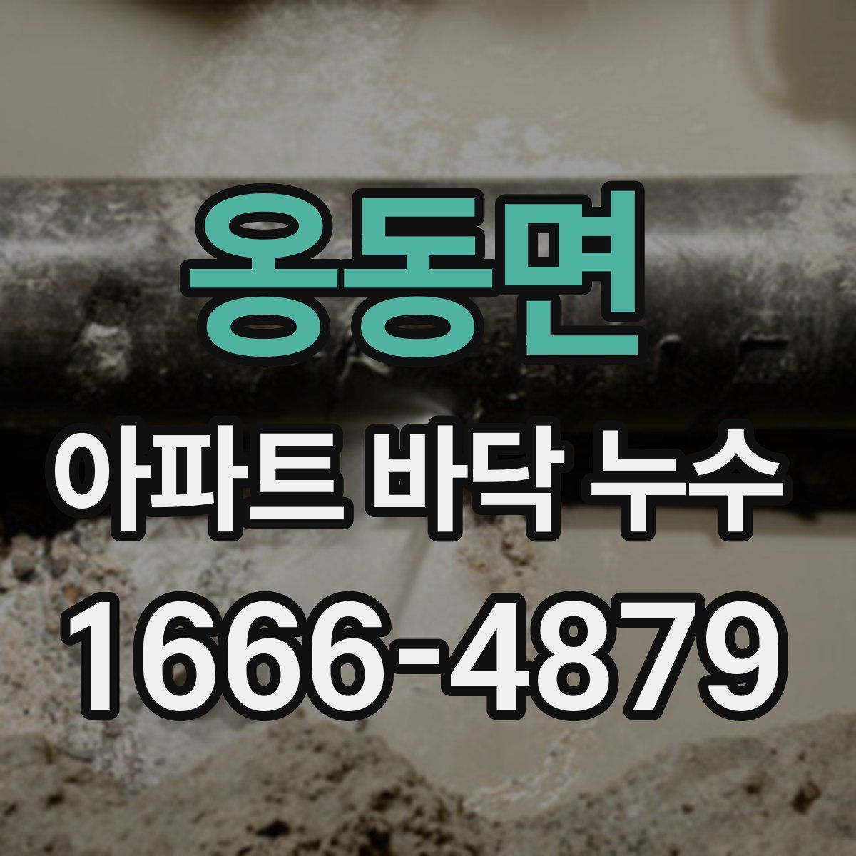 옹동면 아파트 바닥 누수