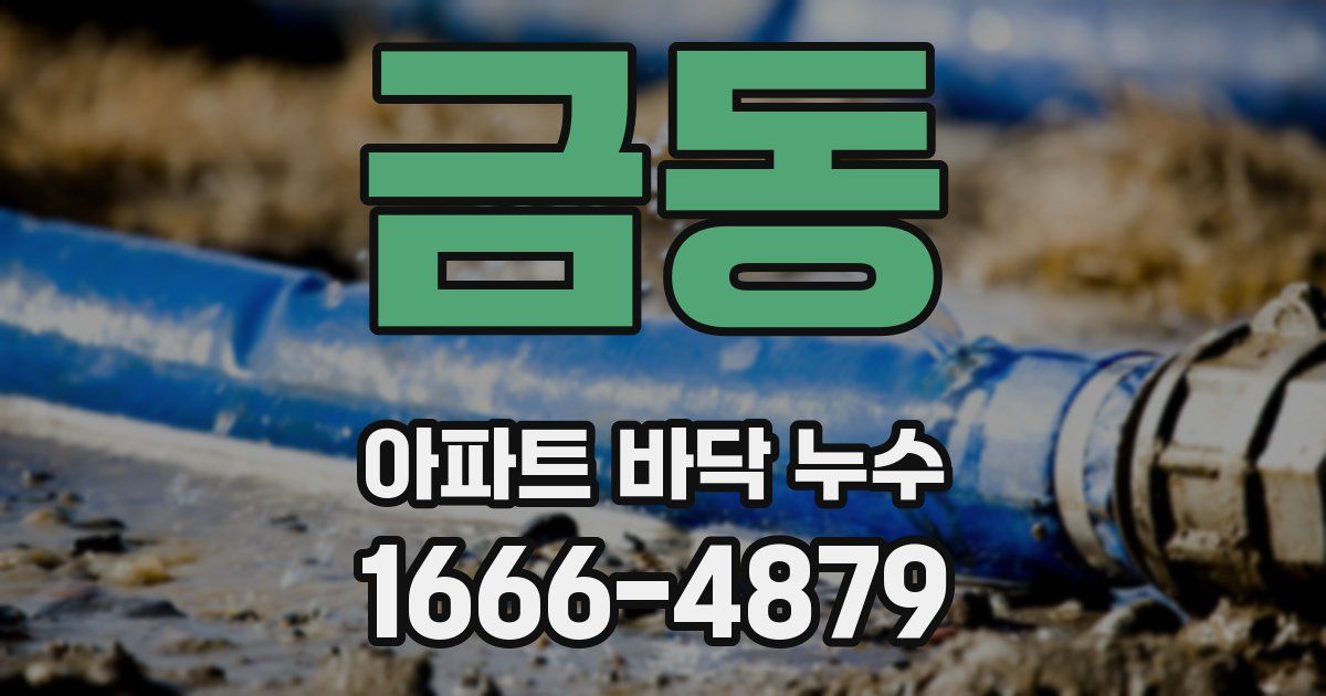 금동 아파트 바닥 누수