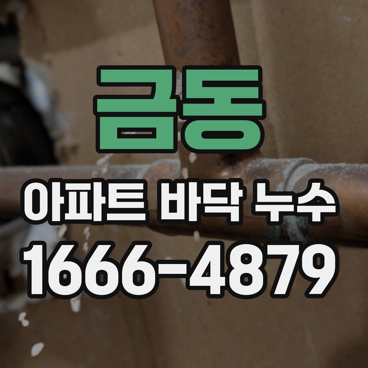 금동 아파트 바닥 누수