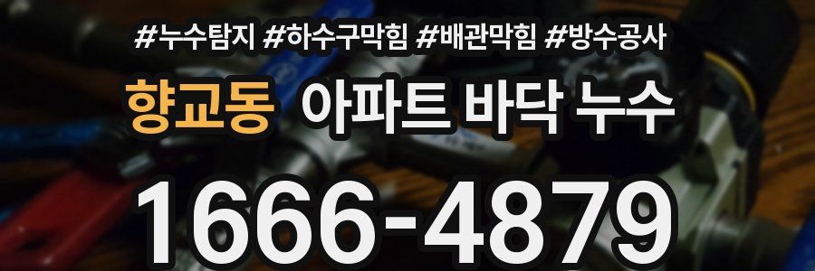 향교동 아파트 바닥 누수