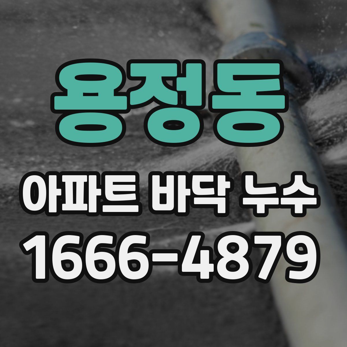 용정동 아파트 바닥 누수