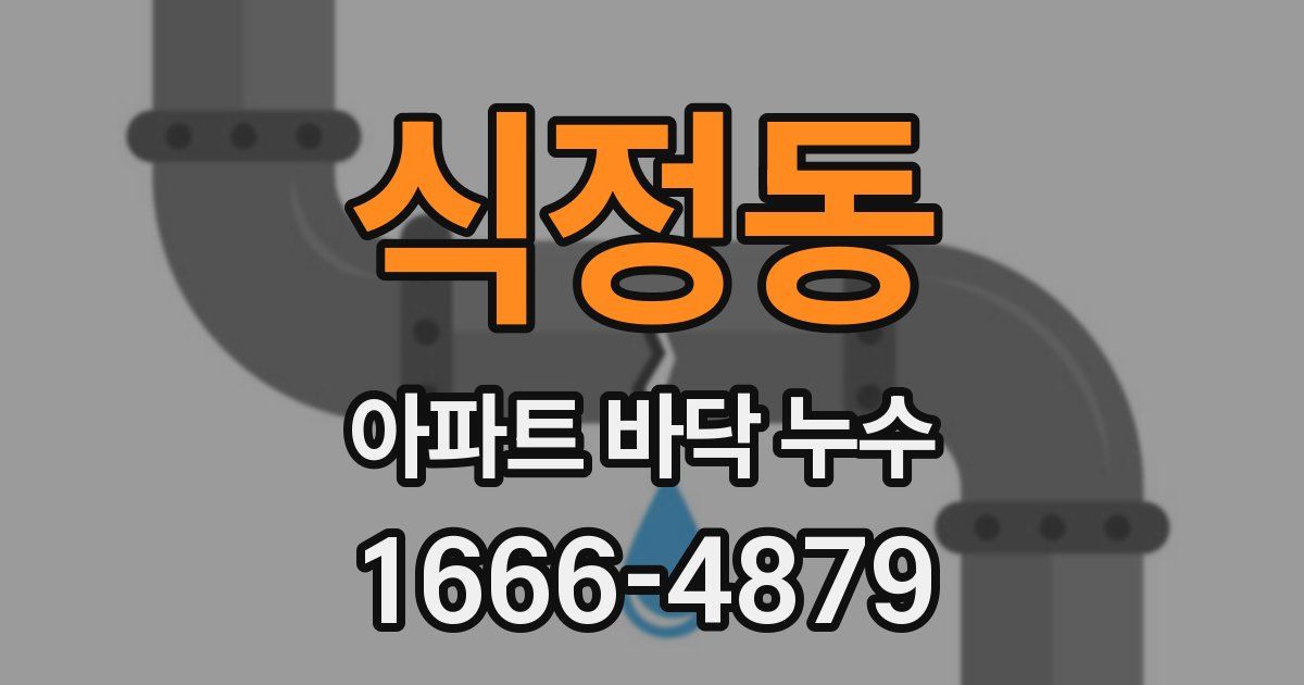 식정동 아파트 바닥 누수