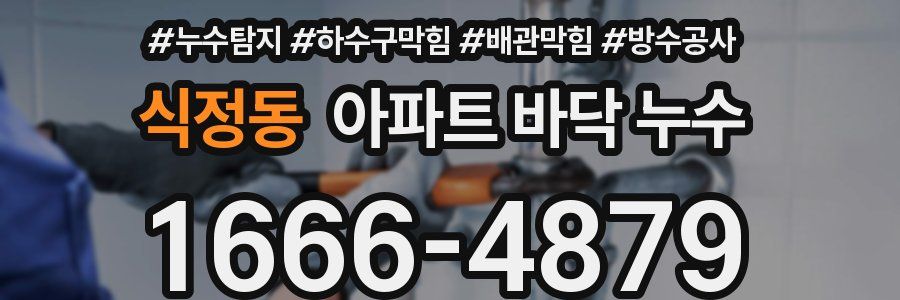 식정동 아파트 바닥 누수