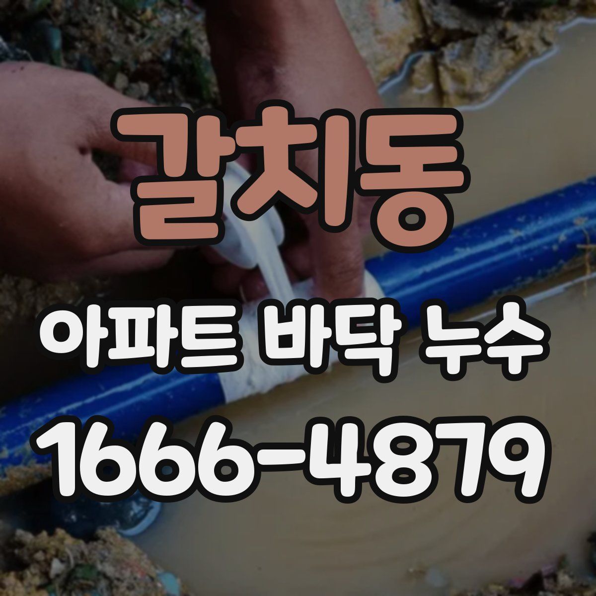 갈치동 아파트 바닥 누수