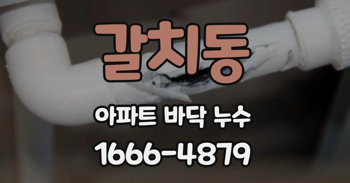 갈치동 아파트 바닥 누수