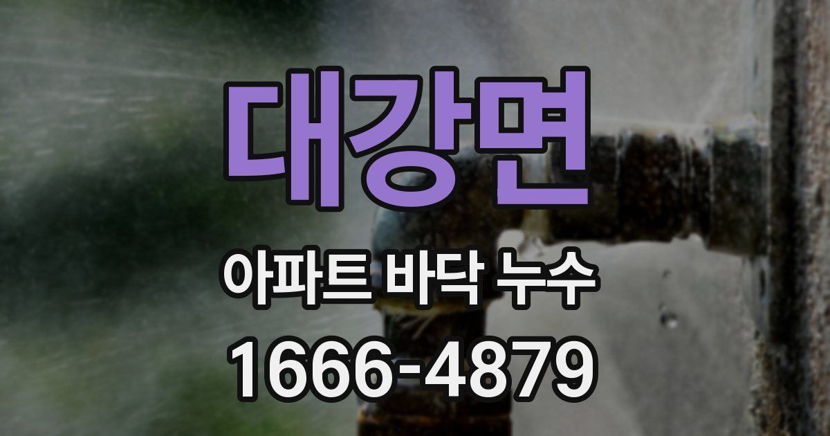 대강면 아파트 바닥 누수