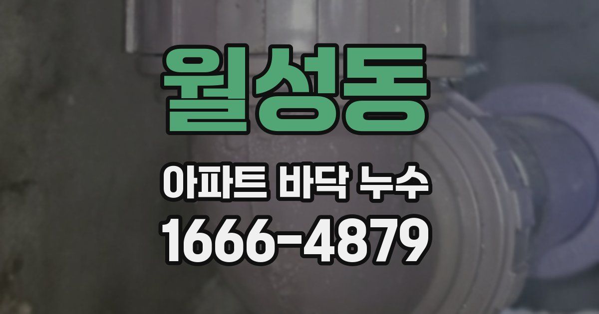 월성동 아파트 바닥 누수
