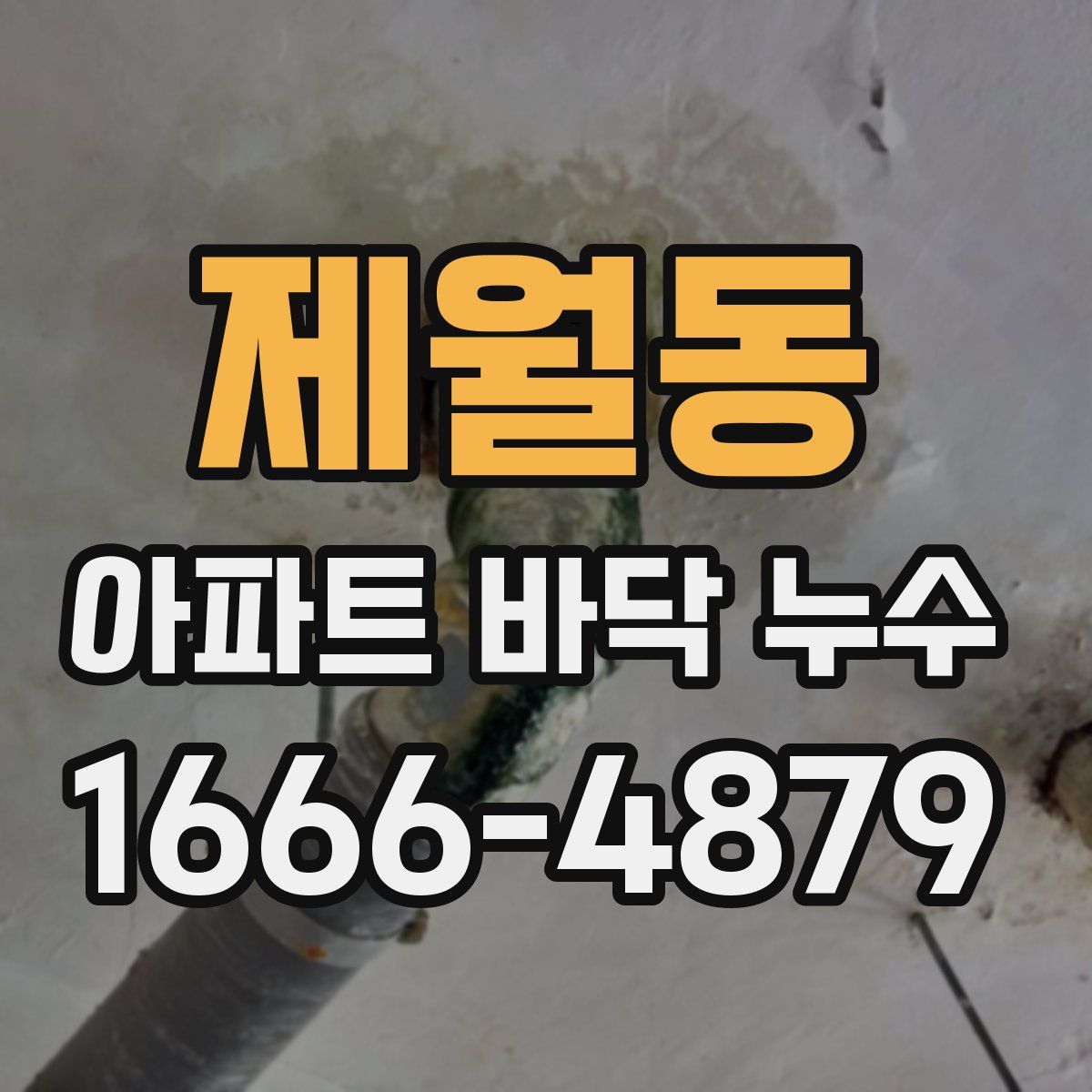 제월동 아파트 바닥 누수