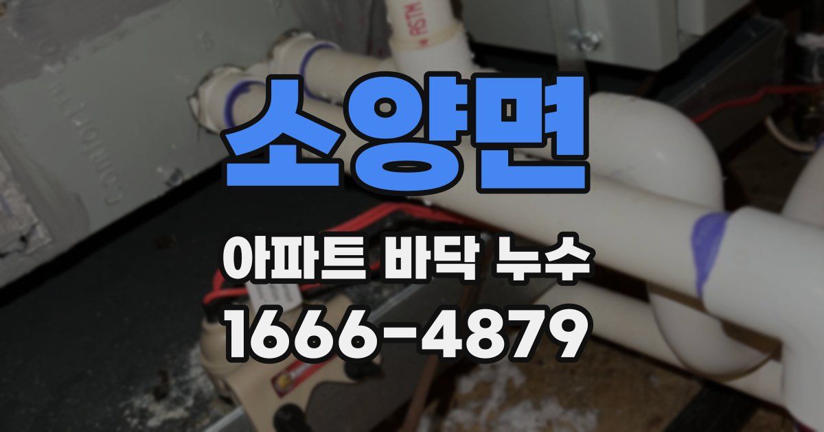 소양면 아파트 바닥 누수