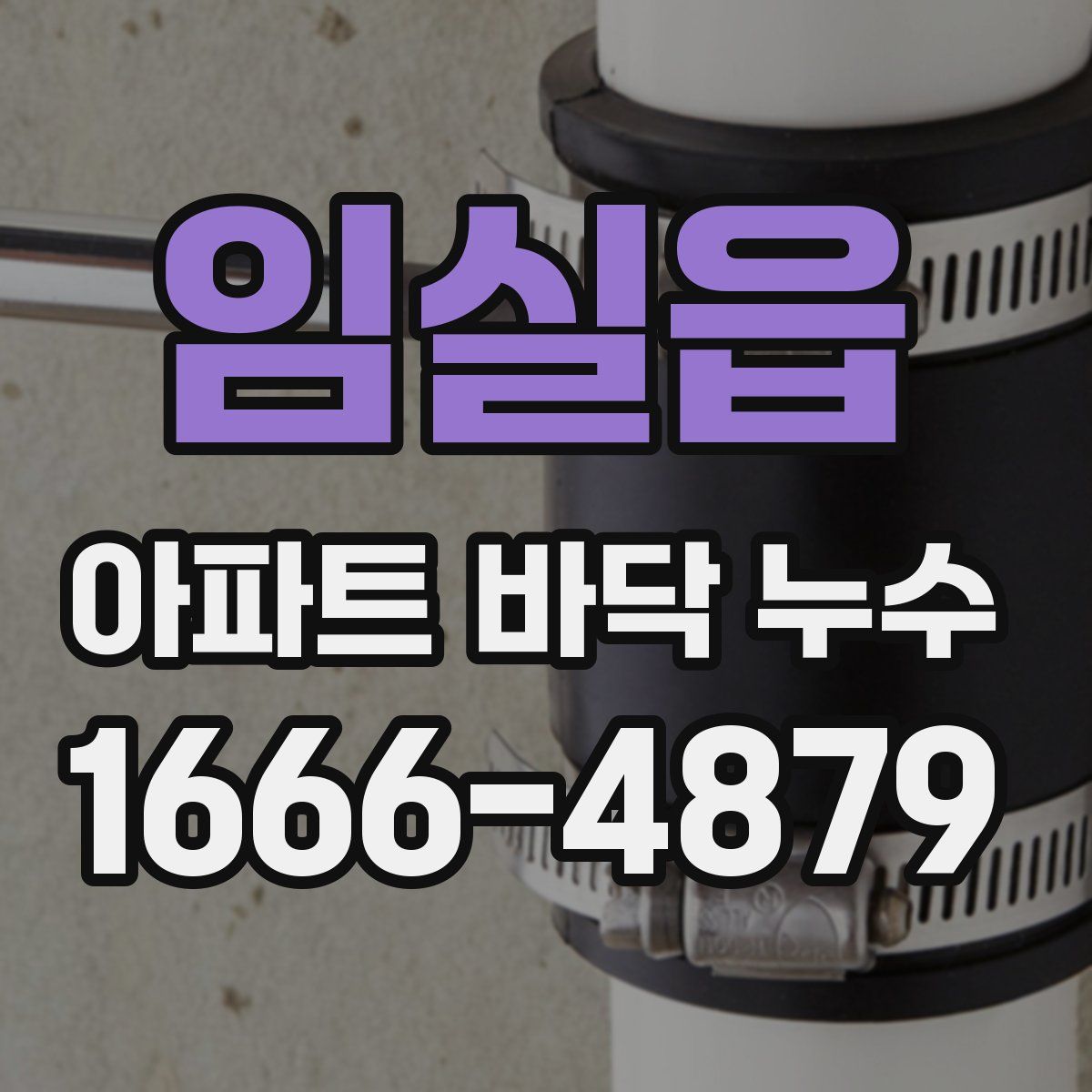 임실읍 아파트 바닥 누수