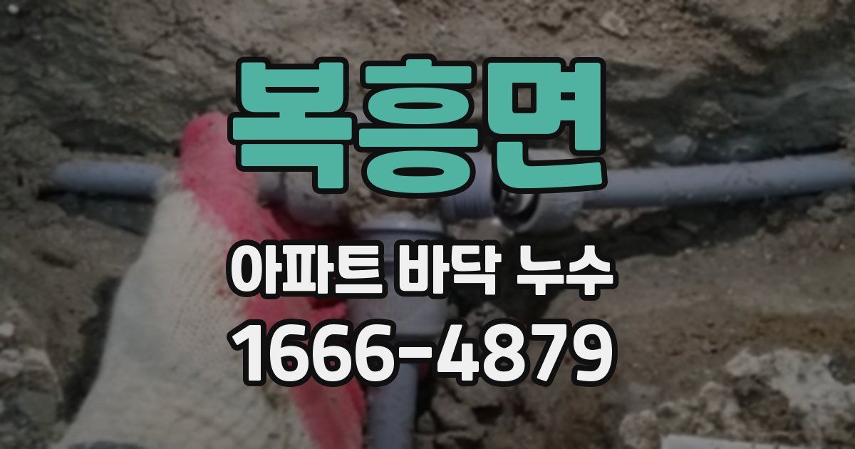 복흥면 아파트 바닥 누수