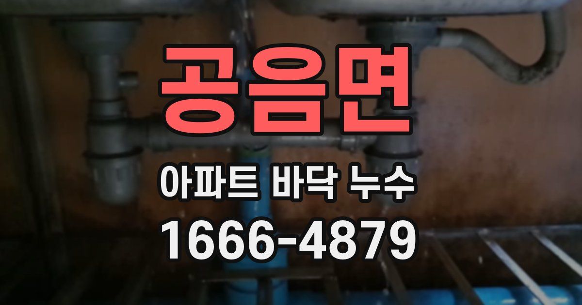 공음면 아파트 바닥 누수