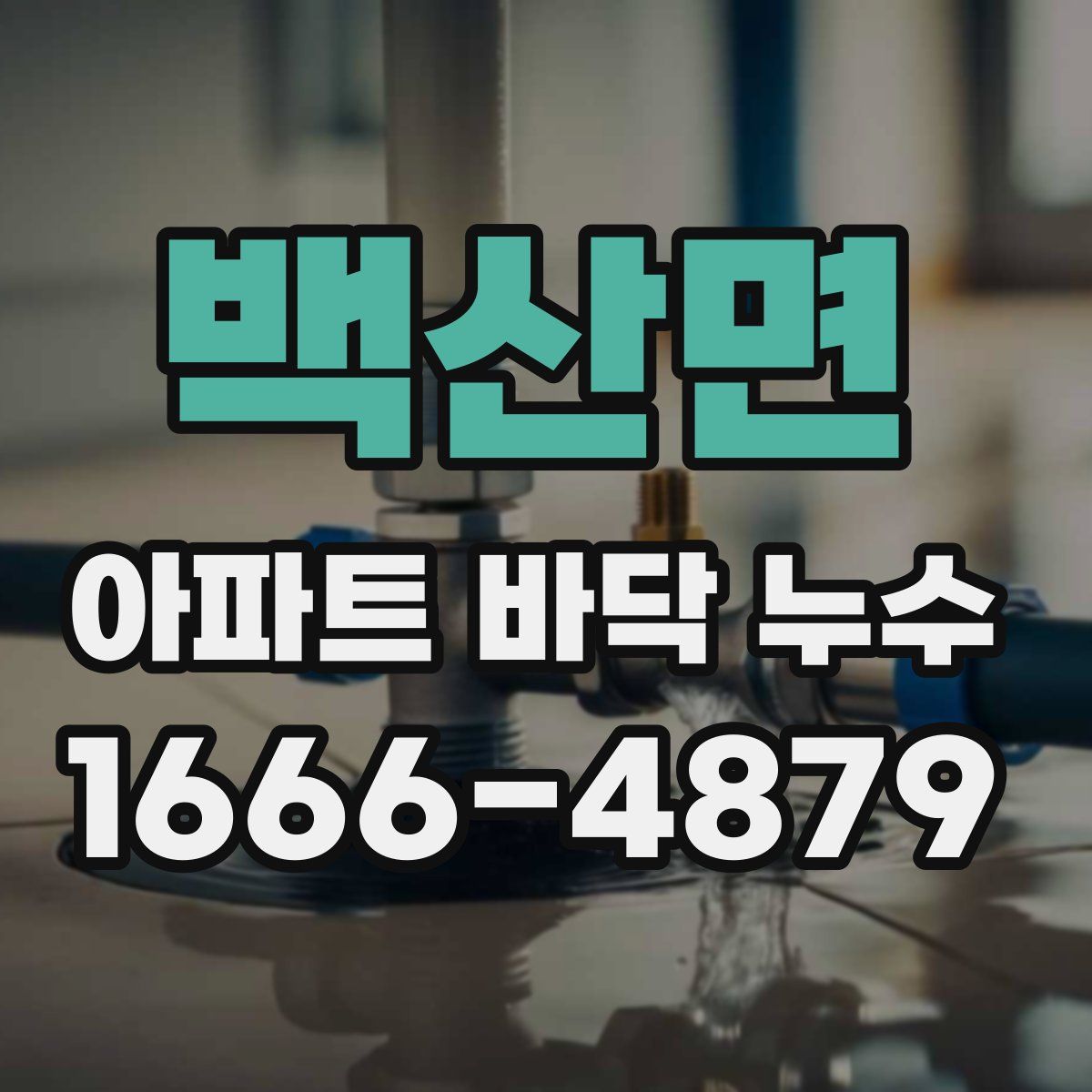 백산면 아파트 바닥 누수