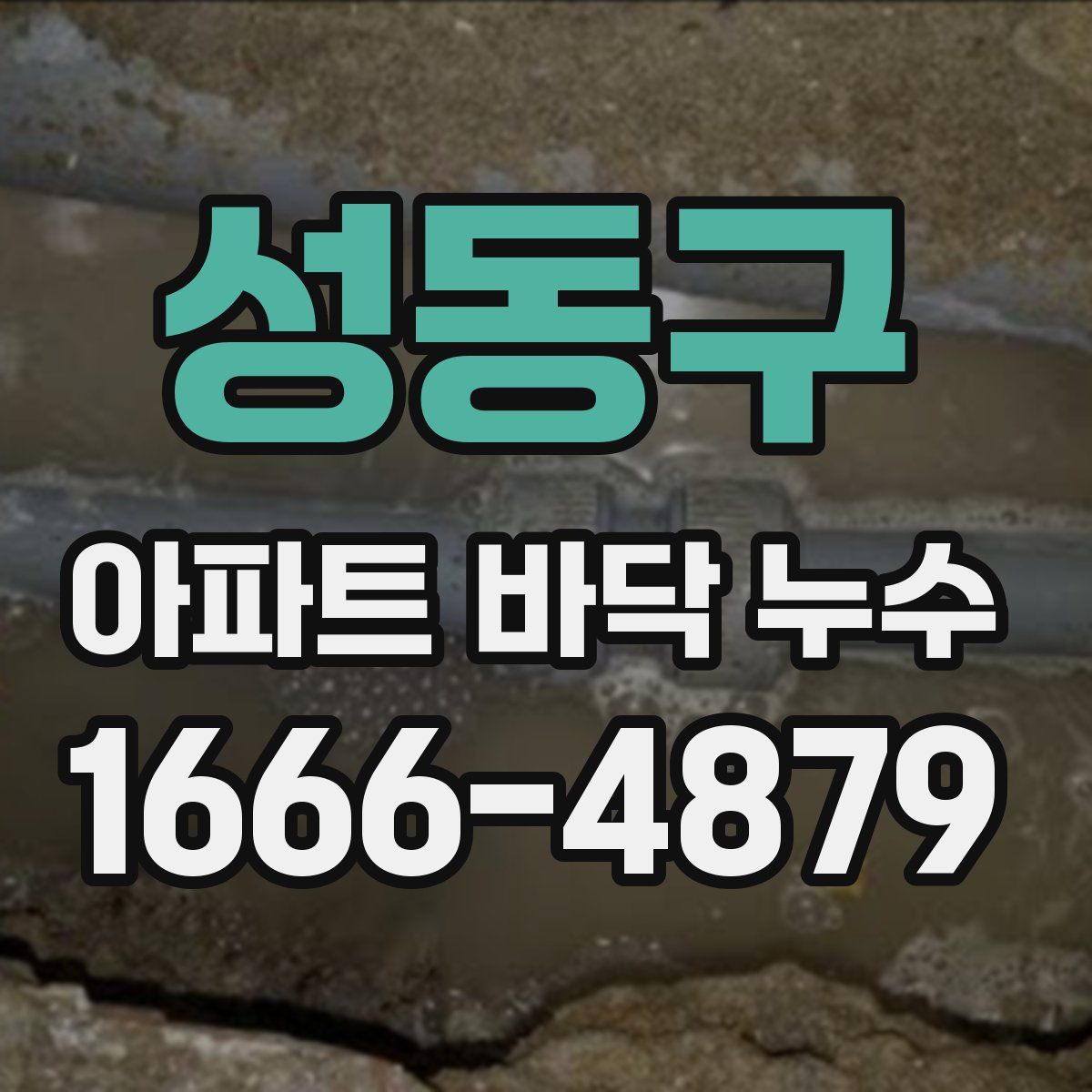 성동구 아파트 바닥 누수