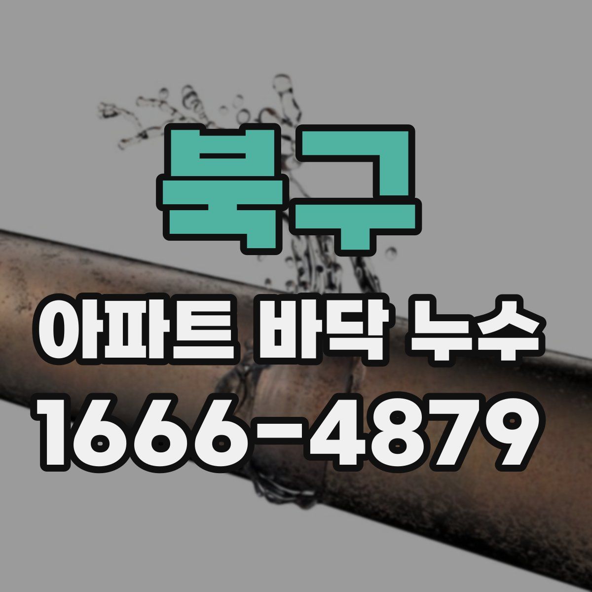 북구 아파트 바닥 누수