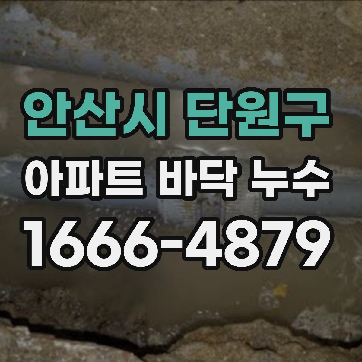 안산시 단원구 아파트 바닥 누수
