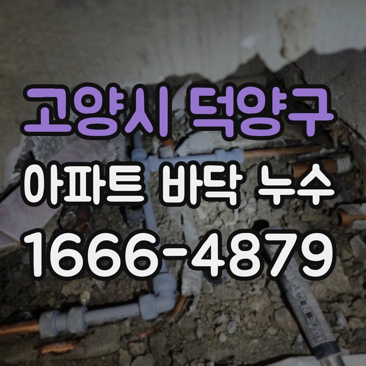 고양시 덕양구 아파트 바닥 누수