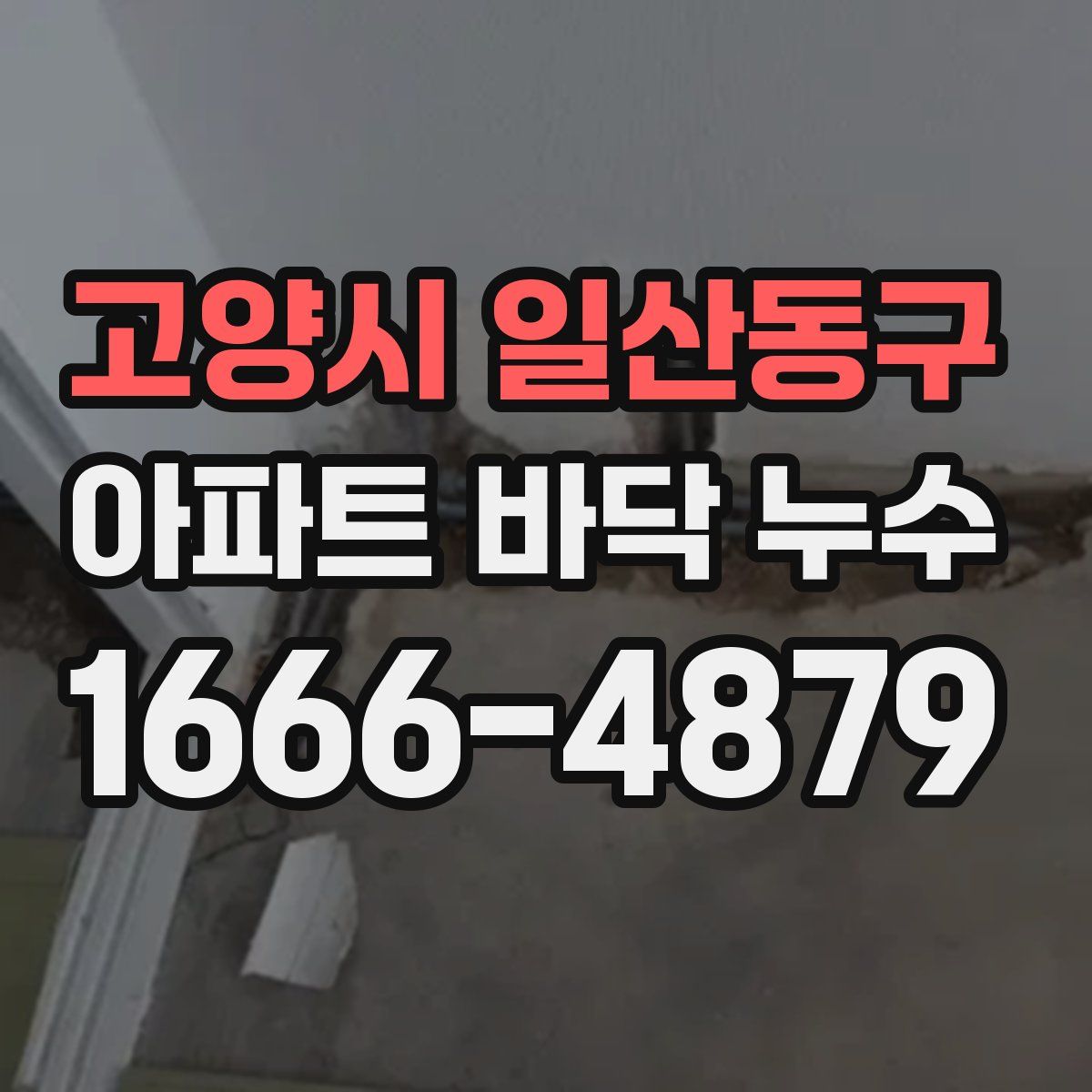 고양시 일산동구 아파트 바닥 누수