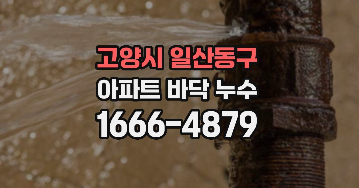 고양시 일산동구 아파트 바닥 누수