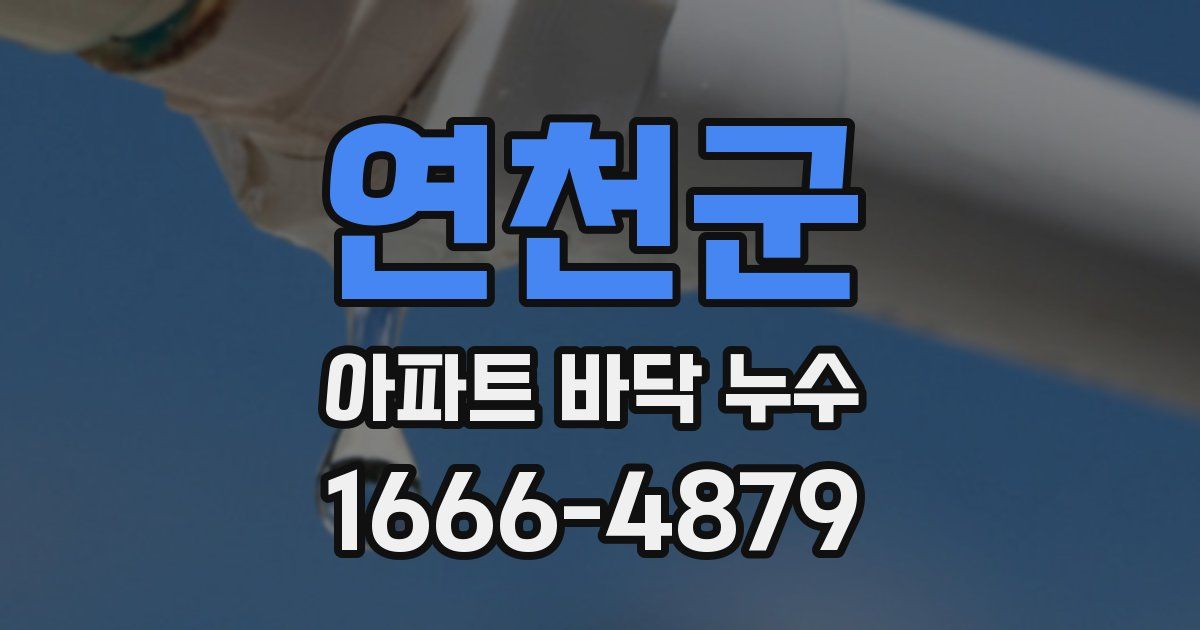 연천군 아파트 바닥 누수