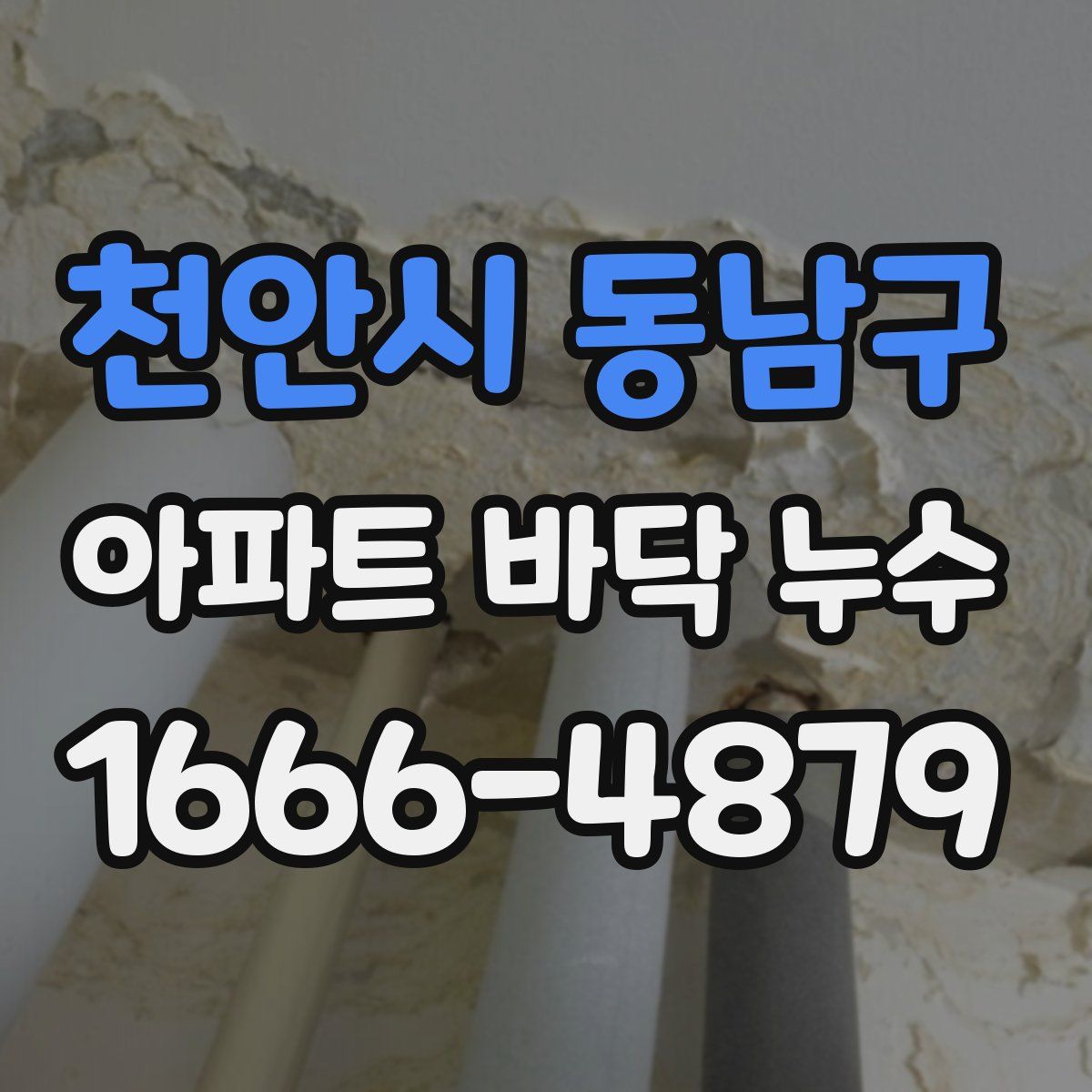 천안시 동남구 아파트 바닥 누수