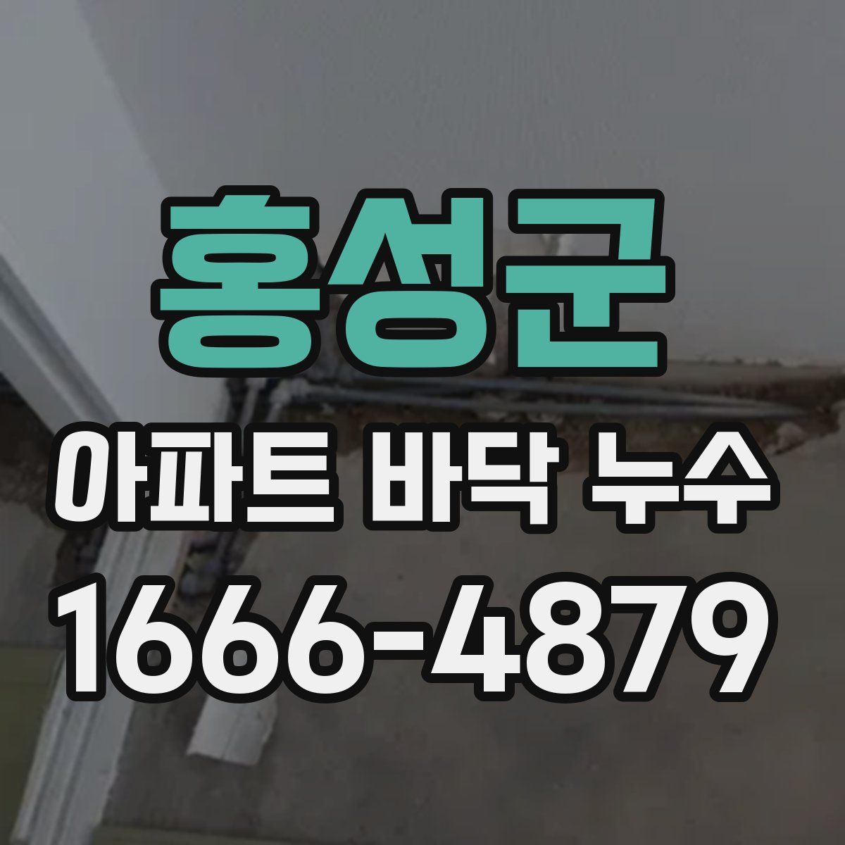 홍성군 아파트 바닥 누수