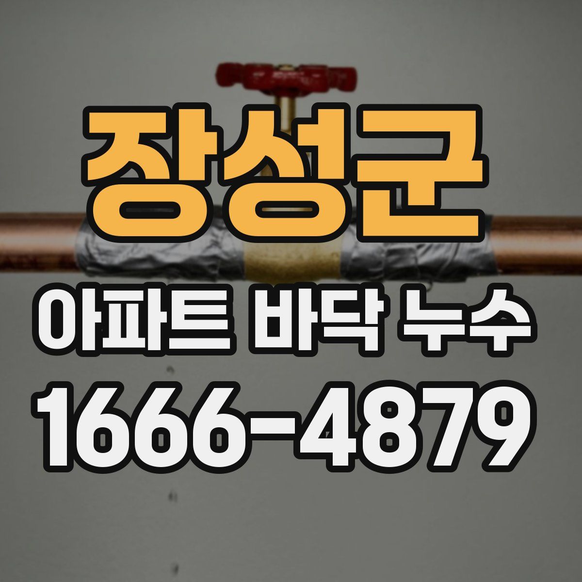 장성군 아파트 바닥 누수