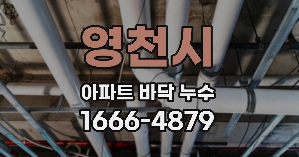 영천시 아파트 바닥 누수