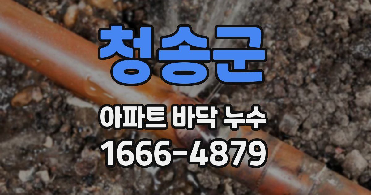 청송군 아파트 바닥 누수