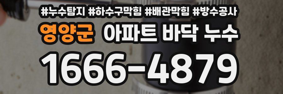 영양군 아파트 바닥 누수