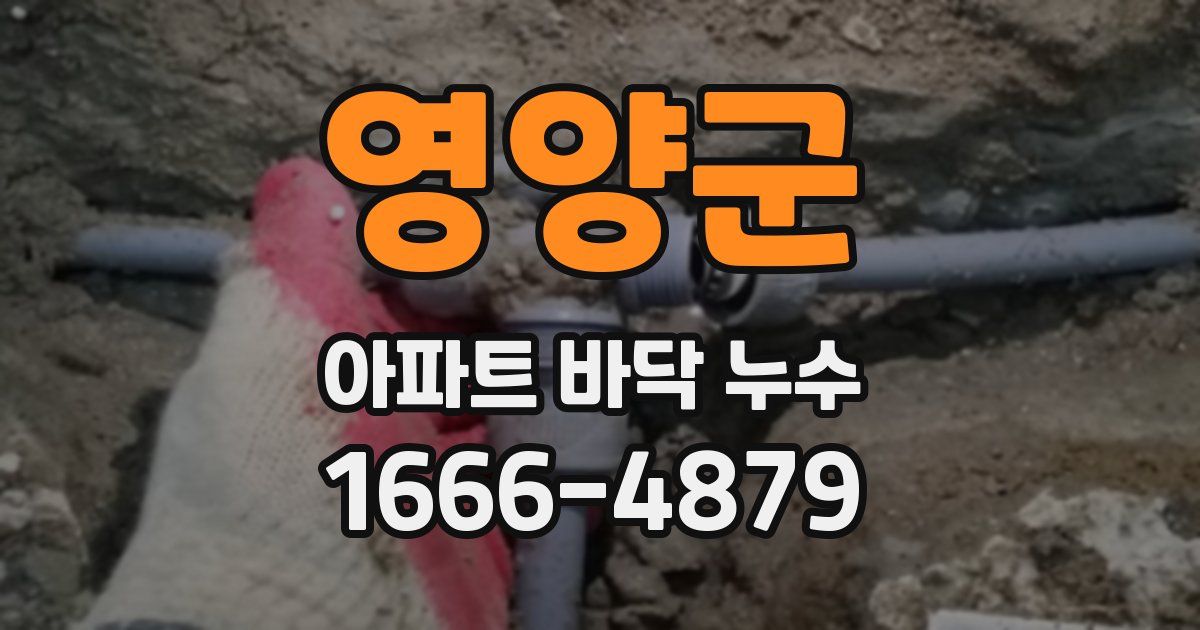 영양군 아파트 바닥 누수