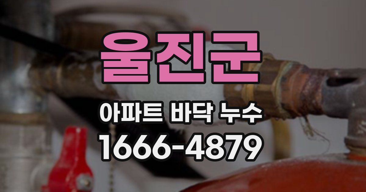 울진군 아파트 바닥 누수