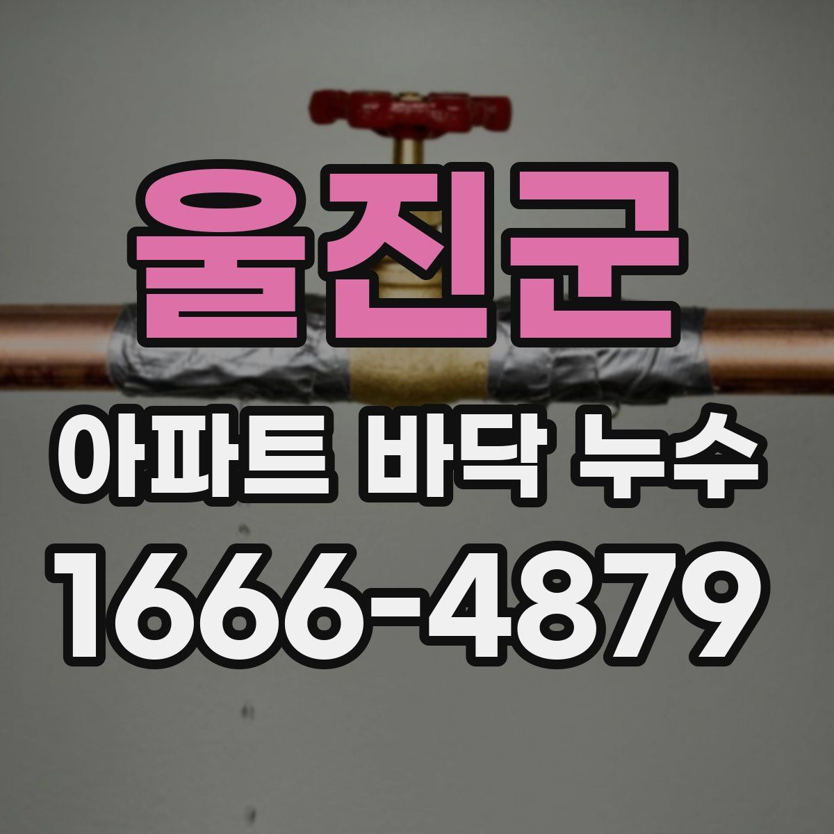 울진군 아파트 바닥 누수