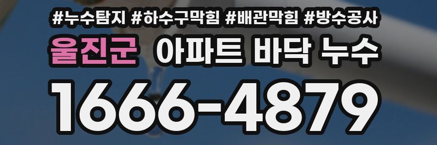 울진군 아파트 바닥 누수