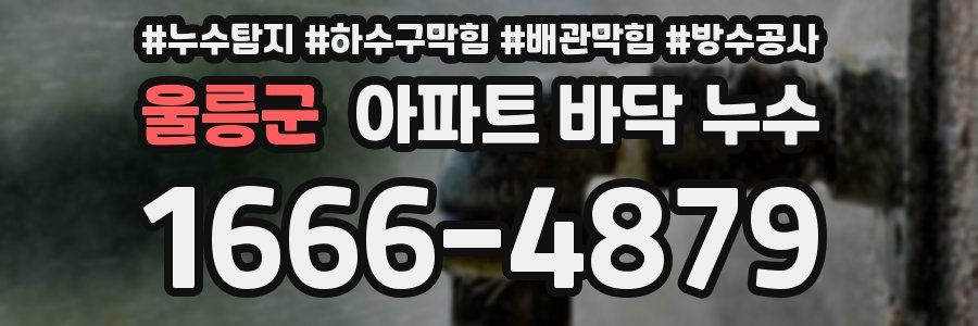 울릉군 아파트 바닥 누수
