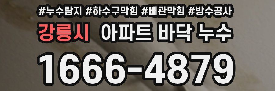 강릉시 아파트 바닥 누수