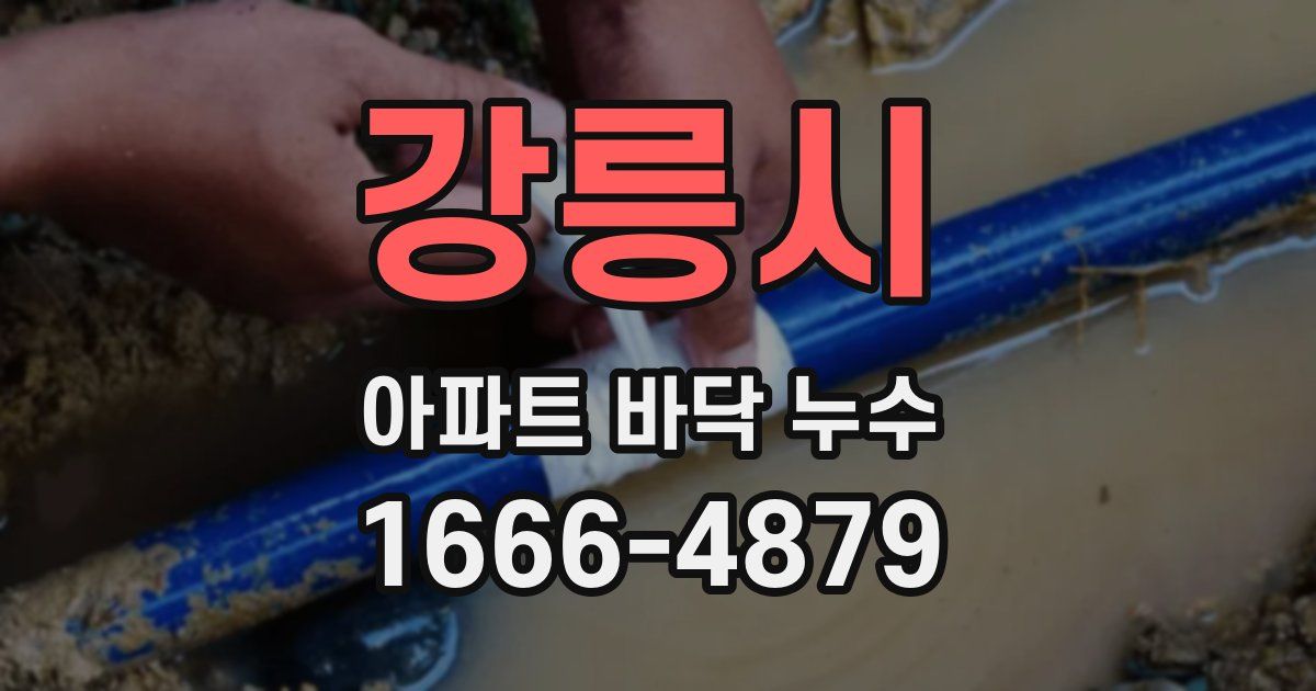 강릉시 아파트 바닥 누수