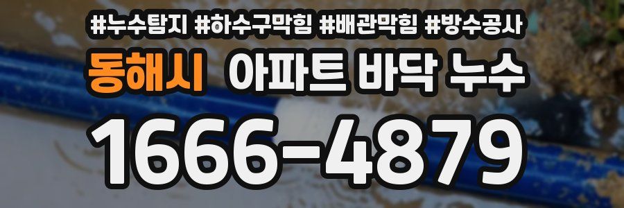 동해시 아파트 바닥 누수