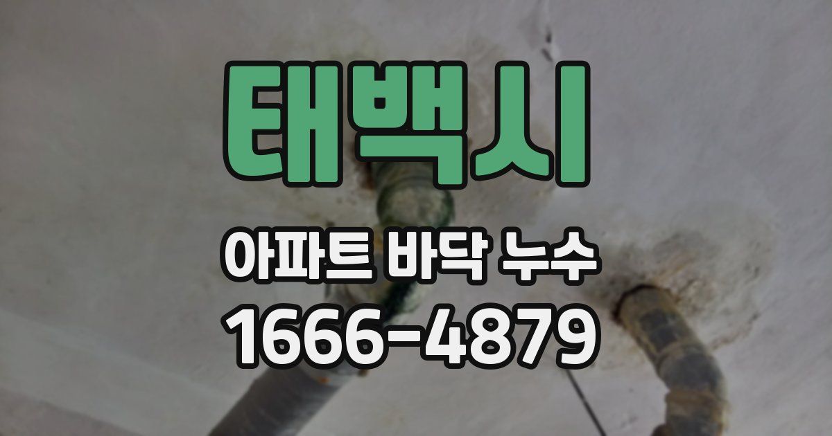 태백시 아파트 바닥 누수